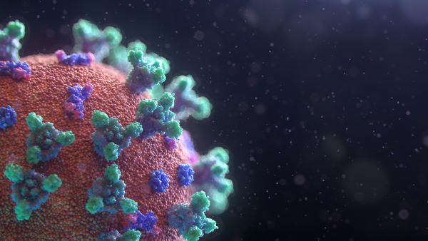 covid corona virus